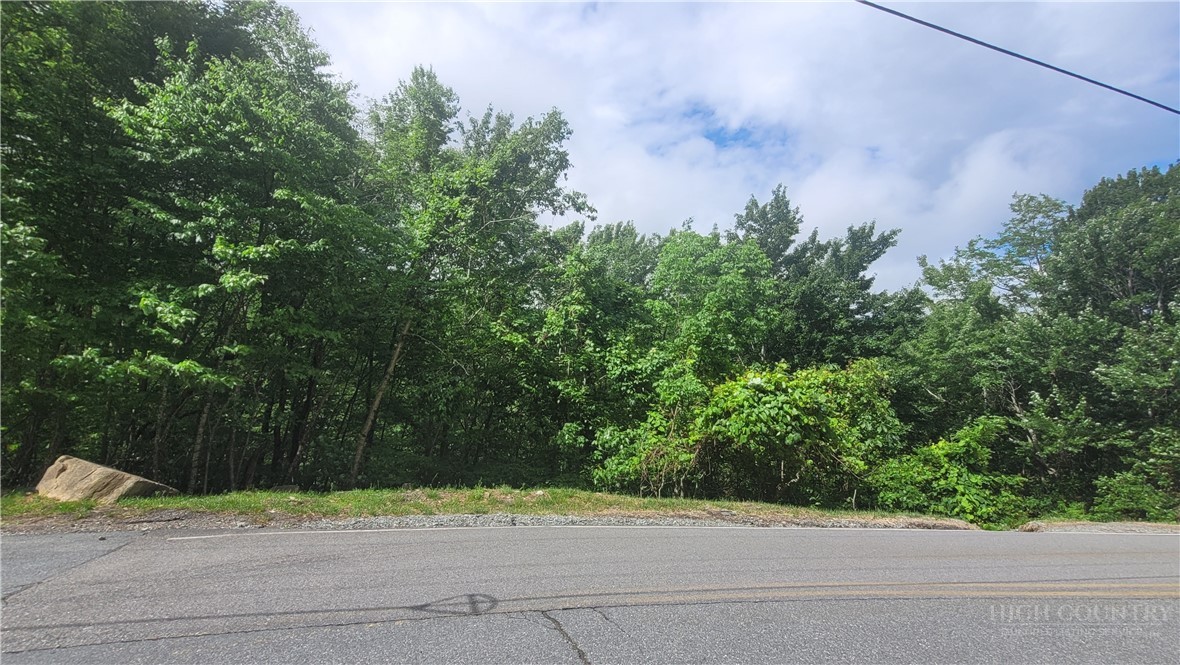 425 Pinnacle Ridge Road Beech Mountain, NC 28604 - Photo 4 of 14 a view of a street from a building