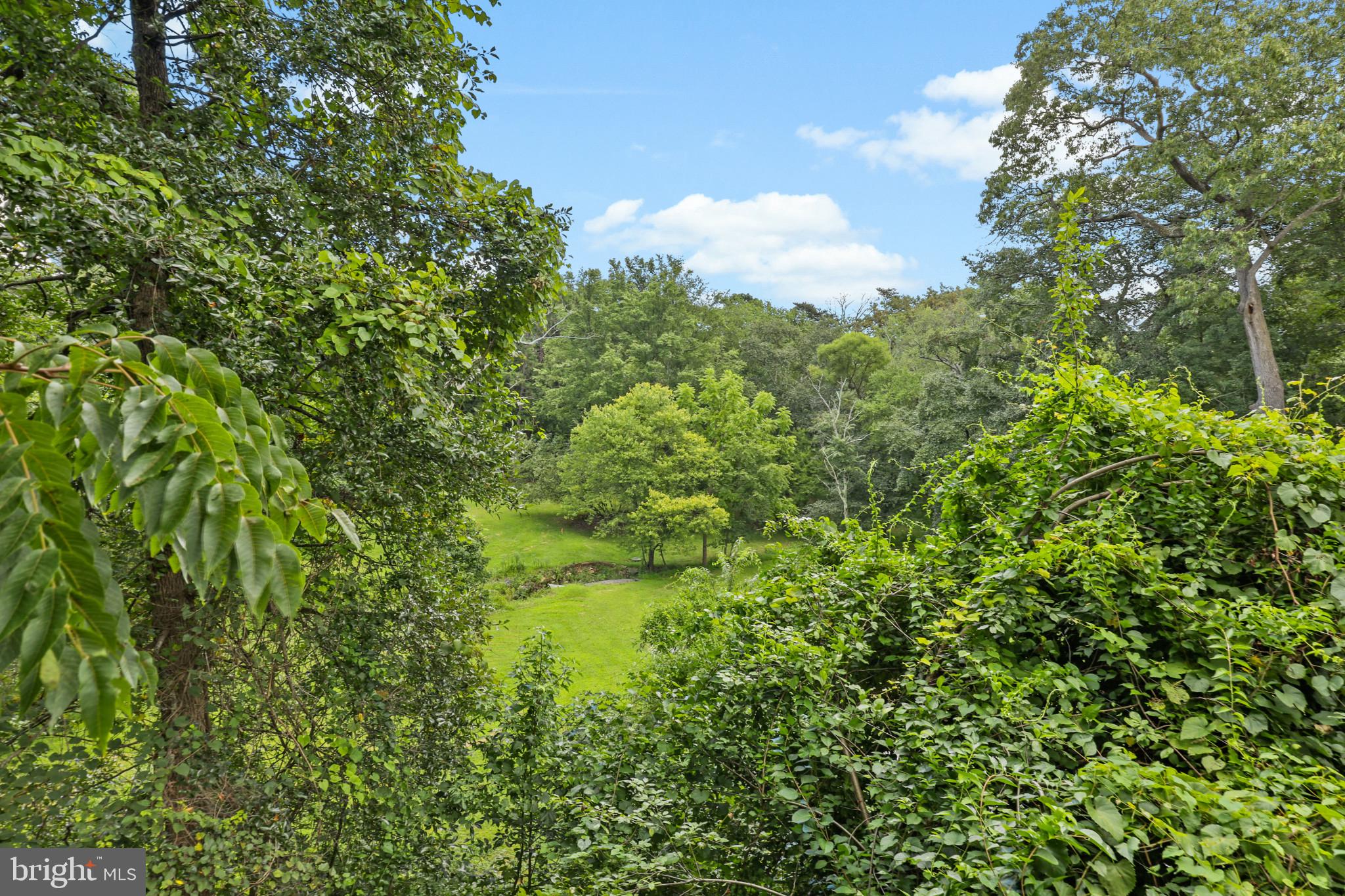 1058 Minnetonka Road Severn, MD 21144 - Photo 91 of 96 view looking into valley & stream