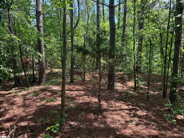 $350,000 | Toshes Creek Cir Union, Union, SC 29379