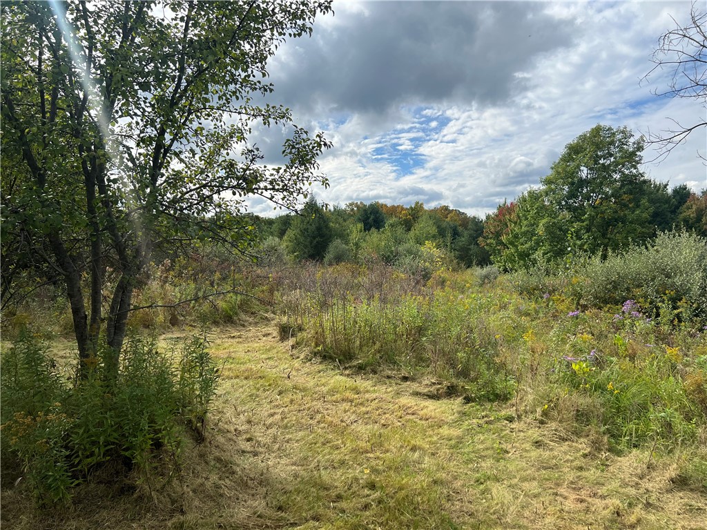 O O Grove Hammondsport, NY 14840 - Photo 13 of 13