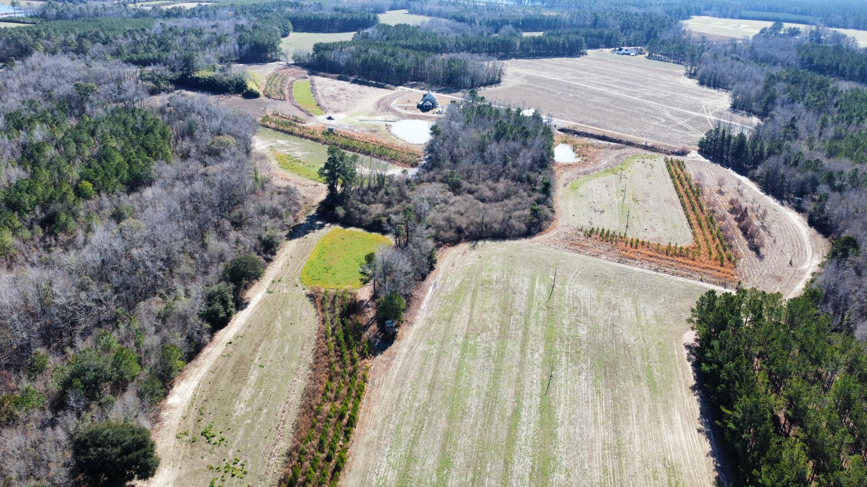 243 Nexsen Road Kingstree, SC 29556 - Photo 14 of 35 dji_fly_20240110_113518_323_170490452649