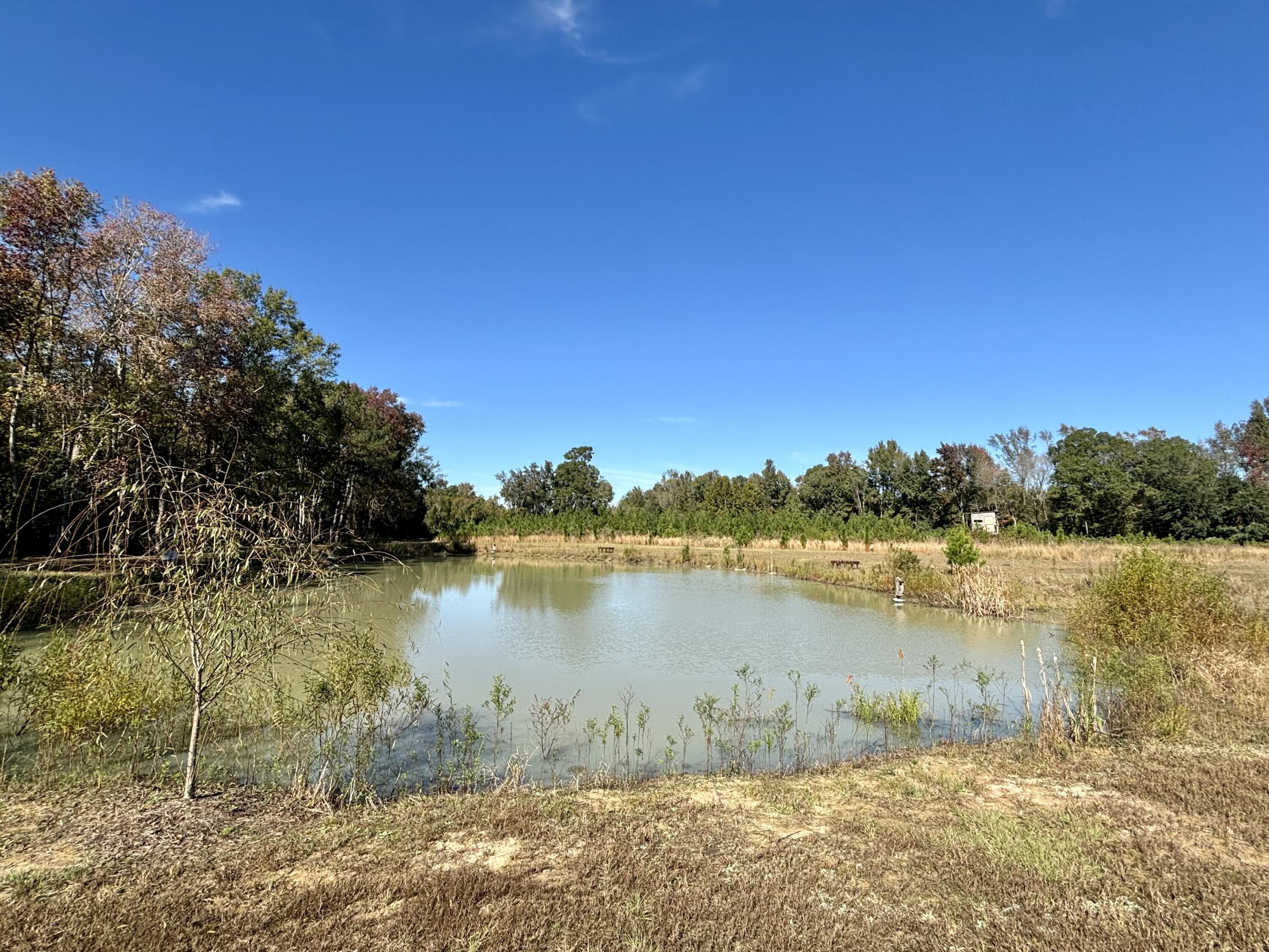 243 Nexsen Road Kingstree, SC 29556 - Photo 21 of 35 IMG_2968