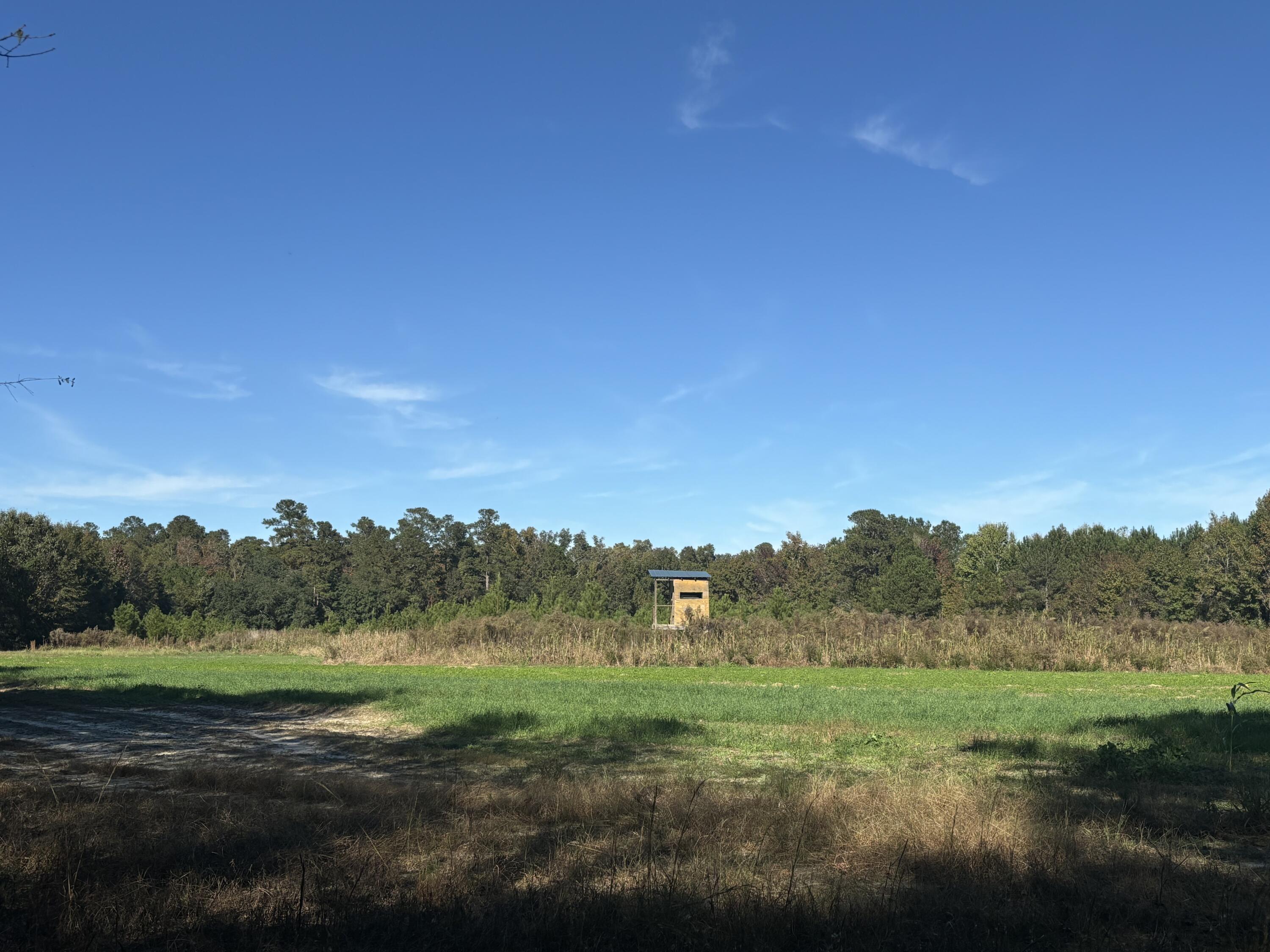 243 Nexsen Road Kingstree, SC 29556 - Photo 29 of 35 IMG_3062