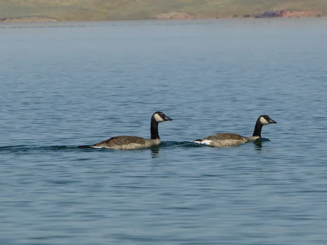 $325,000 | 33 Shoreline Drive, Buffalo, WY 82834