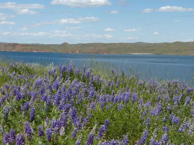 $325,000 | 33 Shoreline Drive, Buffalo, WY 82834