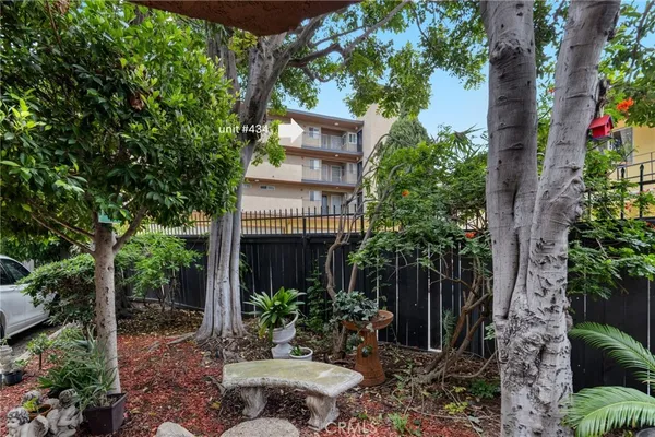 a close view of shoes