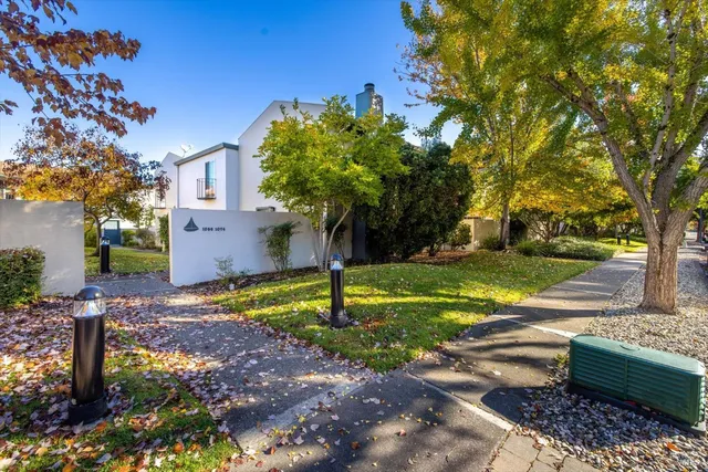 a view of a garden with a tree