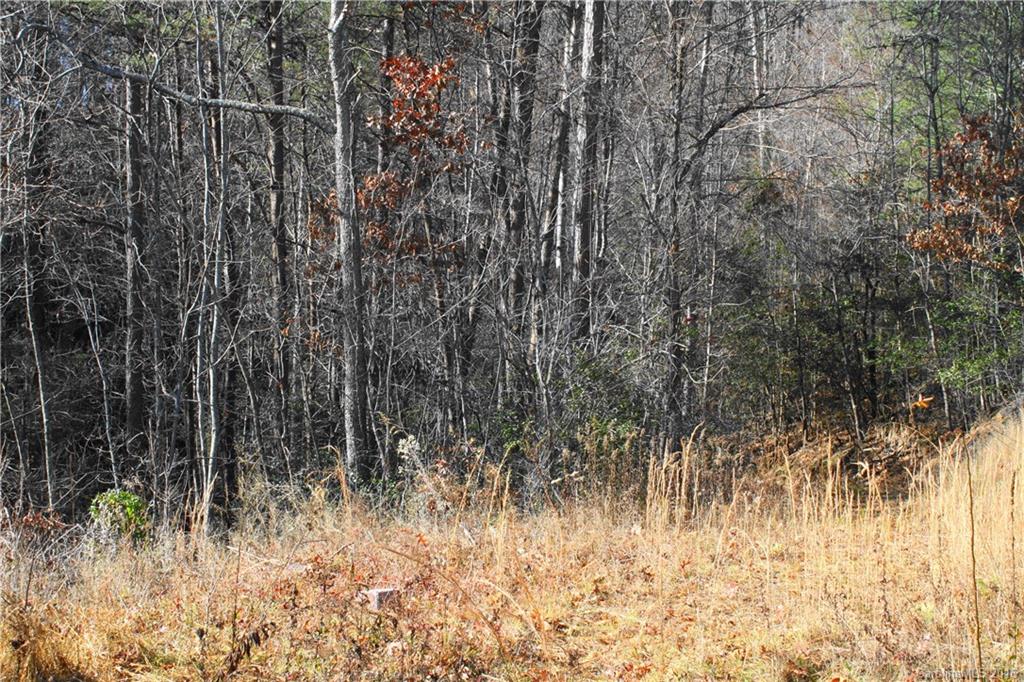 114 Beaverdam Loop Road Candler, NC 28715 - Photo 1 of 15 Gallery Image 1