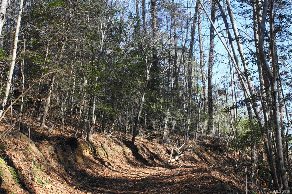 114 Beaverdam Loop Road Candler, NC 28715 - Photo 11 of 15 Gallery Image 11