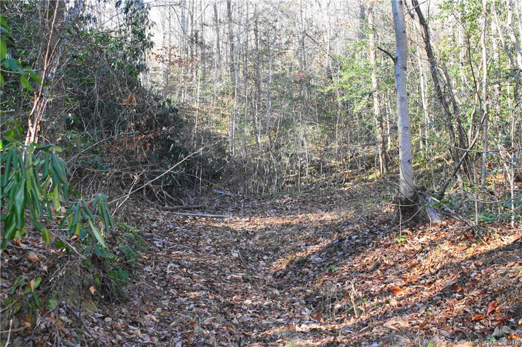 114 Beaverdam Loop Road Candler, NC 28715 - Photo 14 of 15 Gallery Image 14