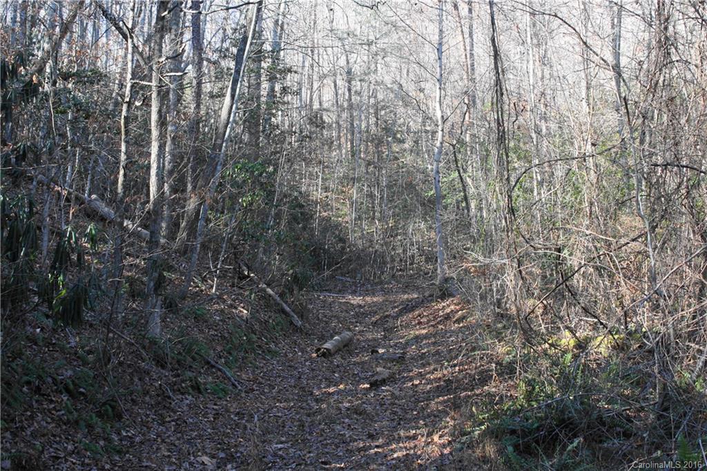 114 Beaverdam Loop Road Candler, NC 28715 - Photo 15 of 15 Gallery Image 15