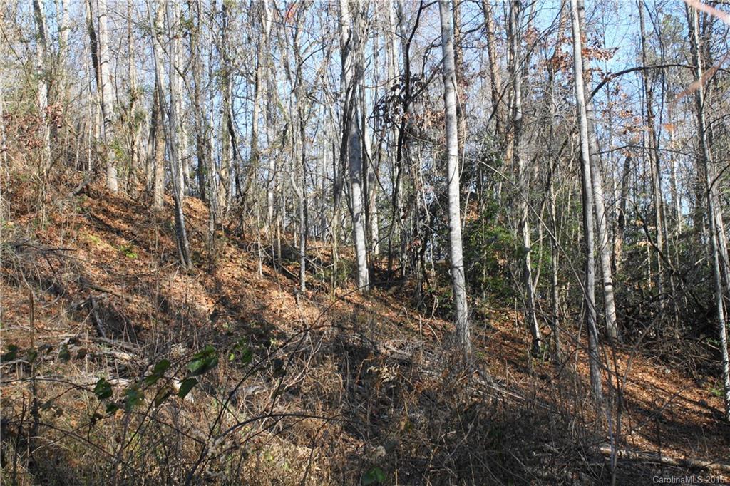114 Beaverdam Loop Road Candler, NC 28715 - Photo 3 of 15 Gallery Image 3
