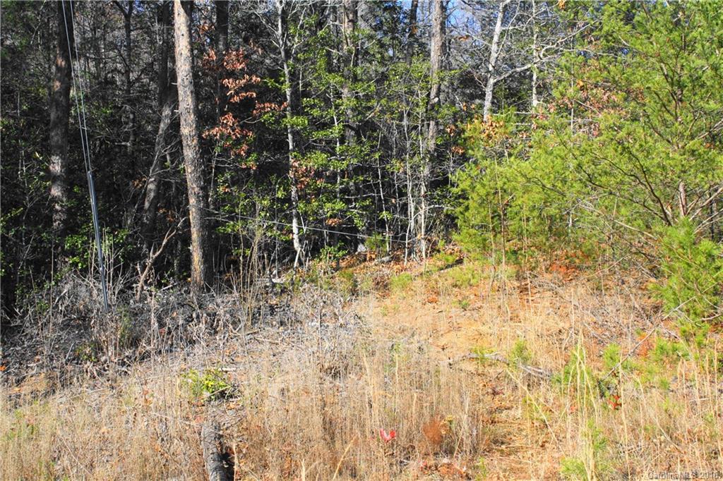 114 Beaverdam Loop Road Candler, NC 28715 - Photo 4 of 15 Gallery Image 4