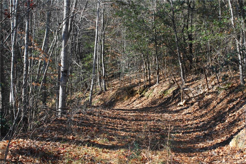 114 Beaverdam Loop Road Candler, NC 28715 - Photo 6 of 15 Gallery Image 6