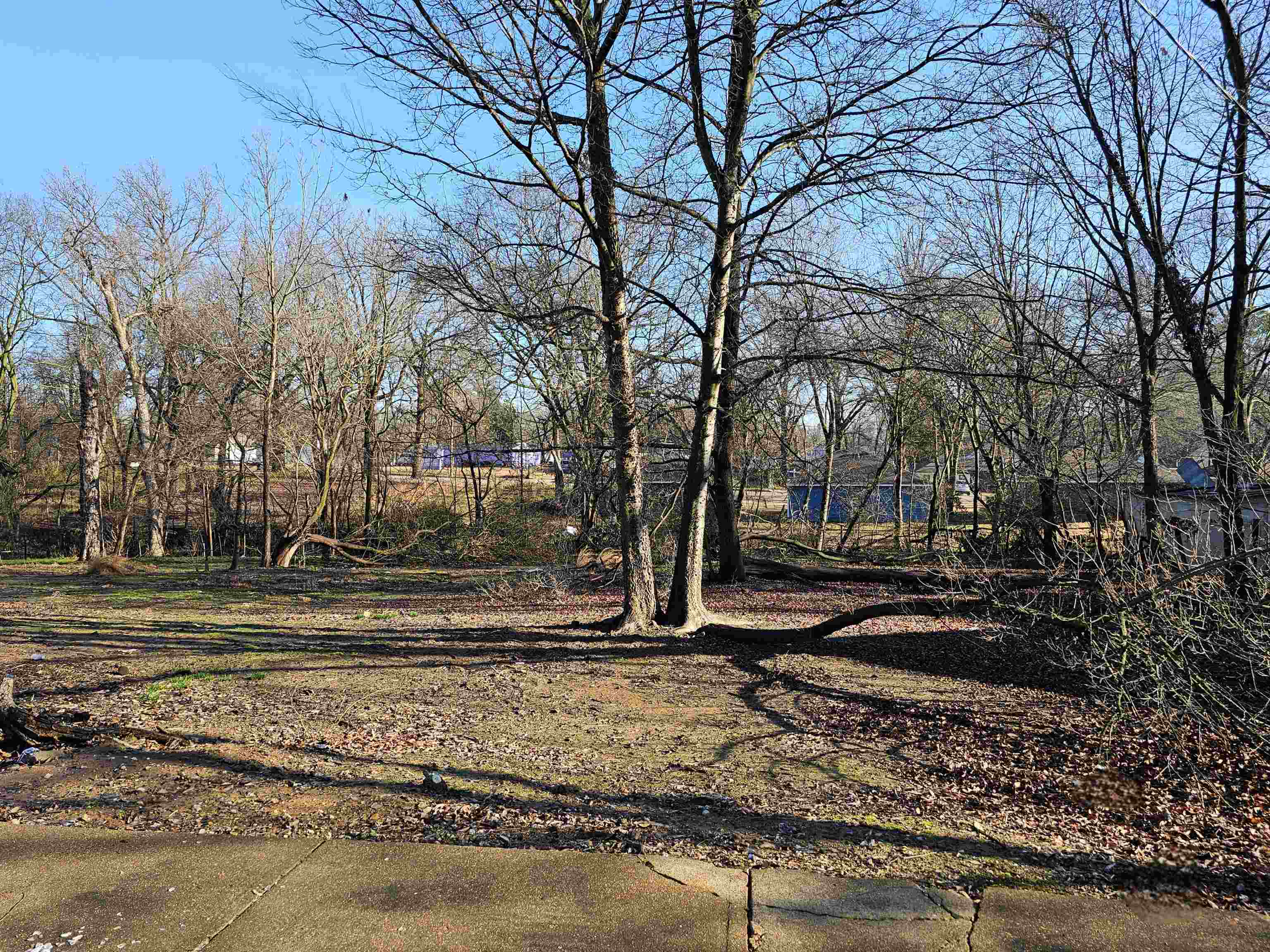 a view of a backyard with green space