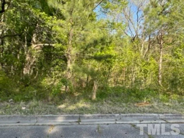 $19,000 | Lot 75 Marie Street, Wilson, NC 27893