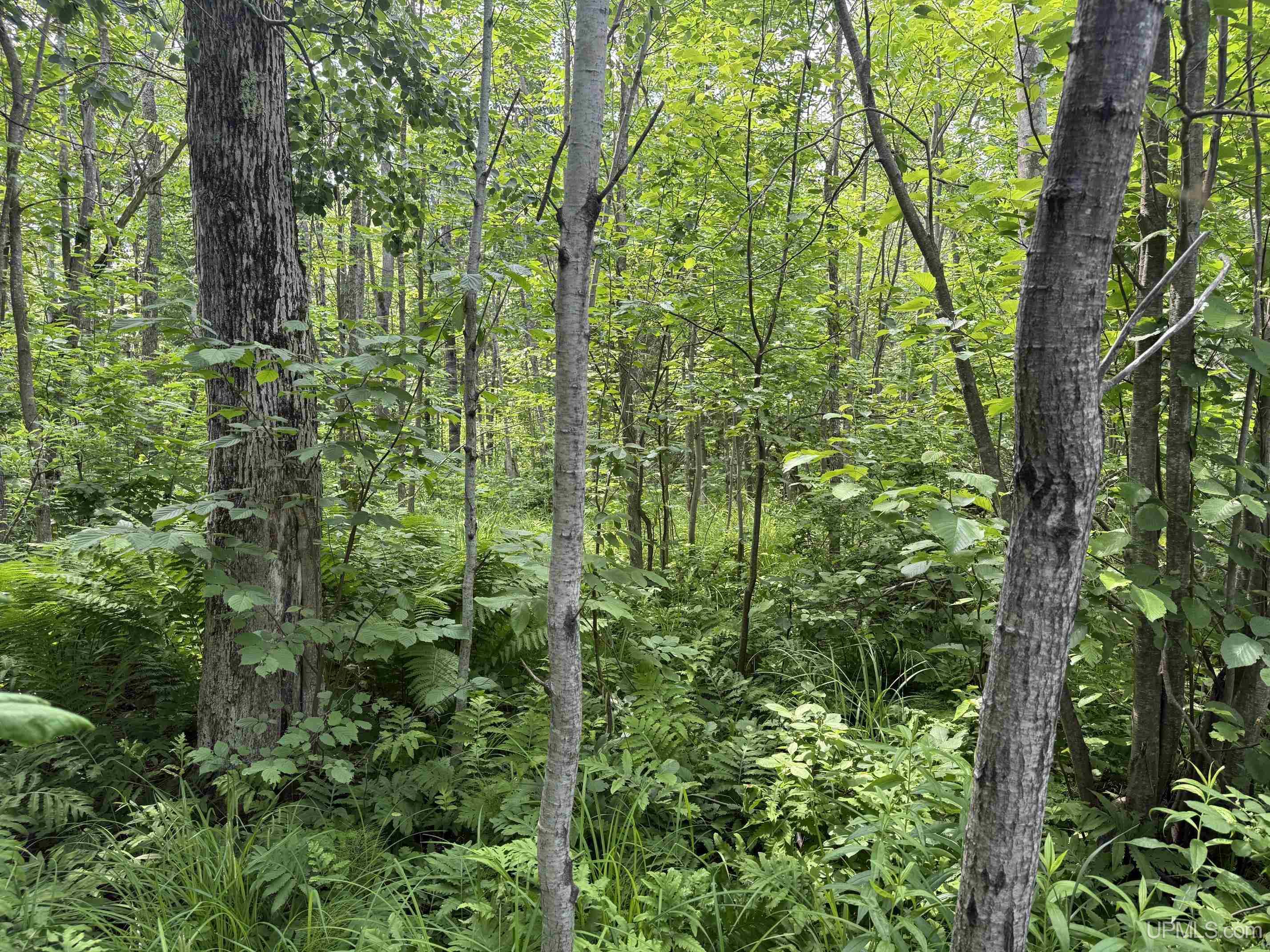 Tbd42 Skanee Road Lanse, MI 49946 - Photo 10 of 15
