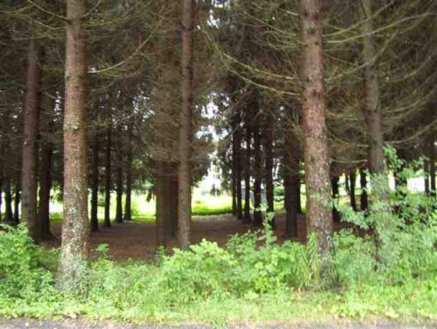 6 Weatherwax Road Poestenkill, NY 12198 - Photo 12 of 12 Photo 12