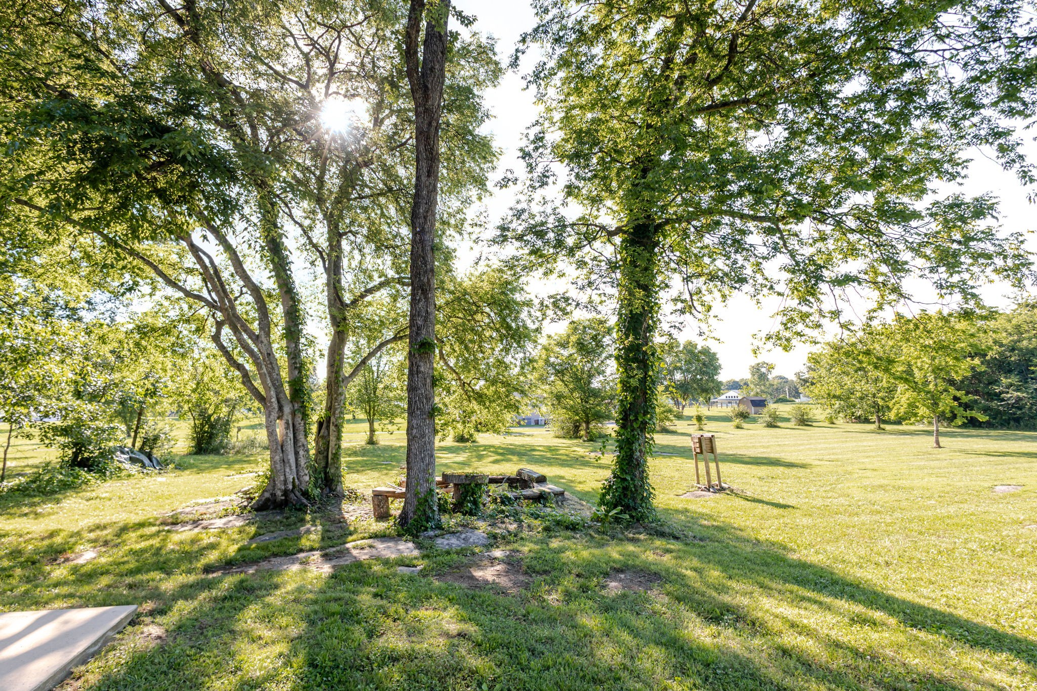 1510 Wade Brown Road Lewisburg, TN 37091 - Photo 43 of 61