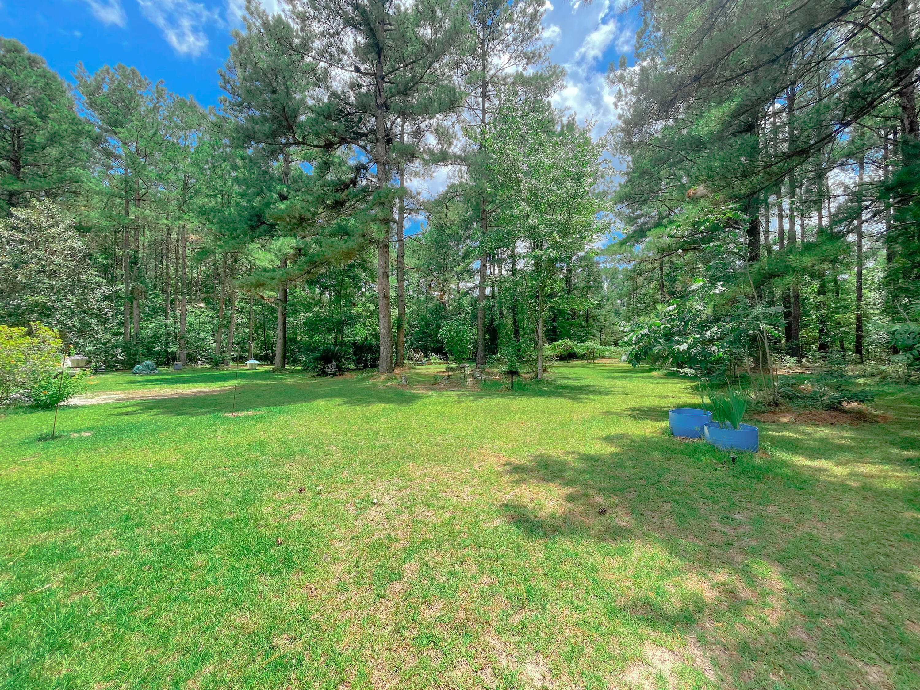 141 Cross Creek Road Reevesville, SC 29471 - Photo 11 of 40 940C0431-08C5-4C88-8DD3-6B0ED7F8C7AC