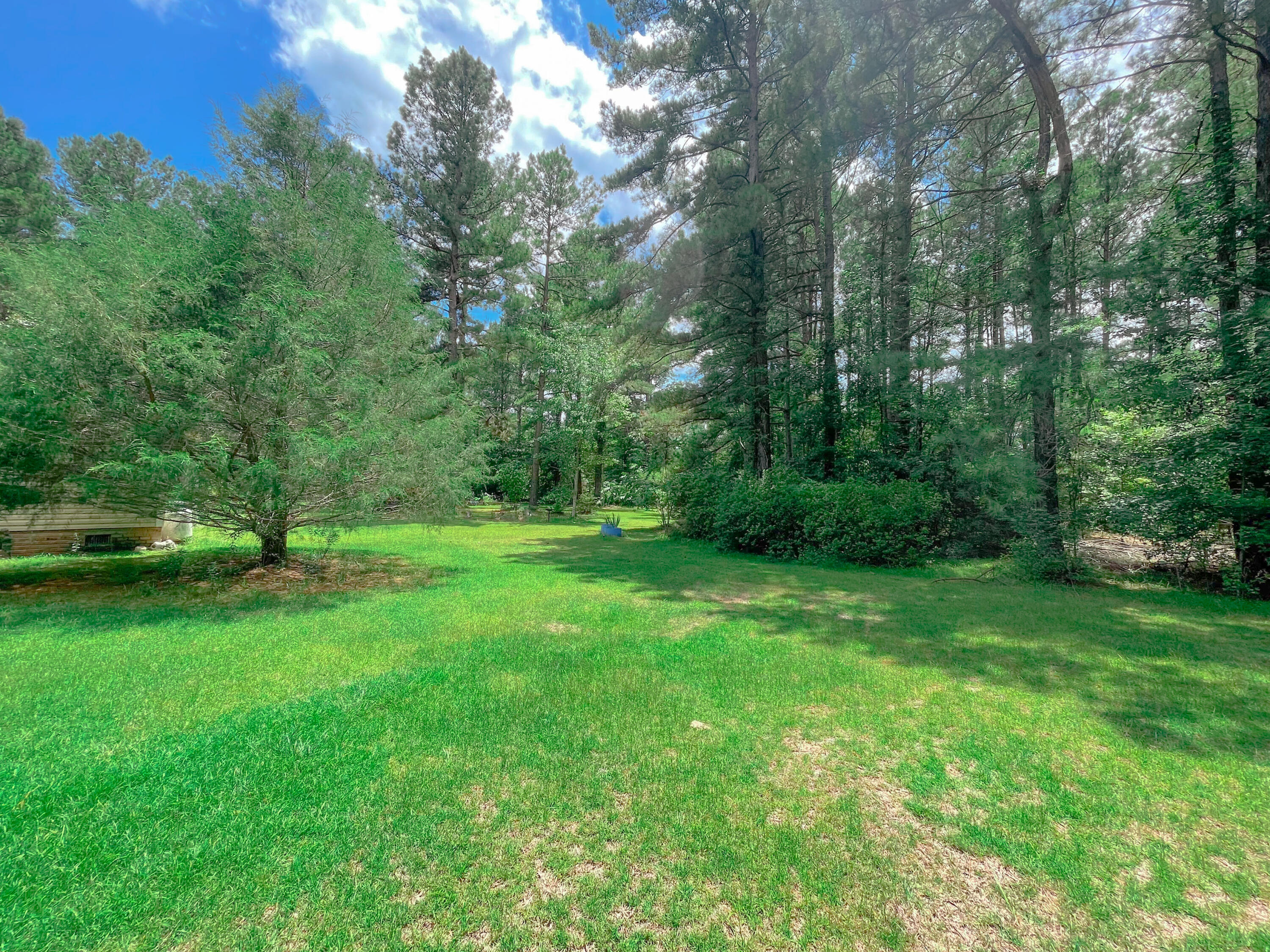 141 Cross Creek Road Reevesville, SC 29471 - Photo 6 of 40 6E8C18E4-445E-4BEF-BD50-DA15A5695C05