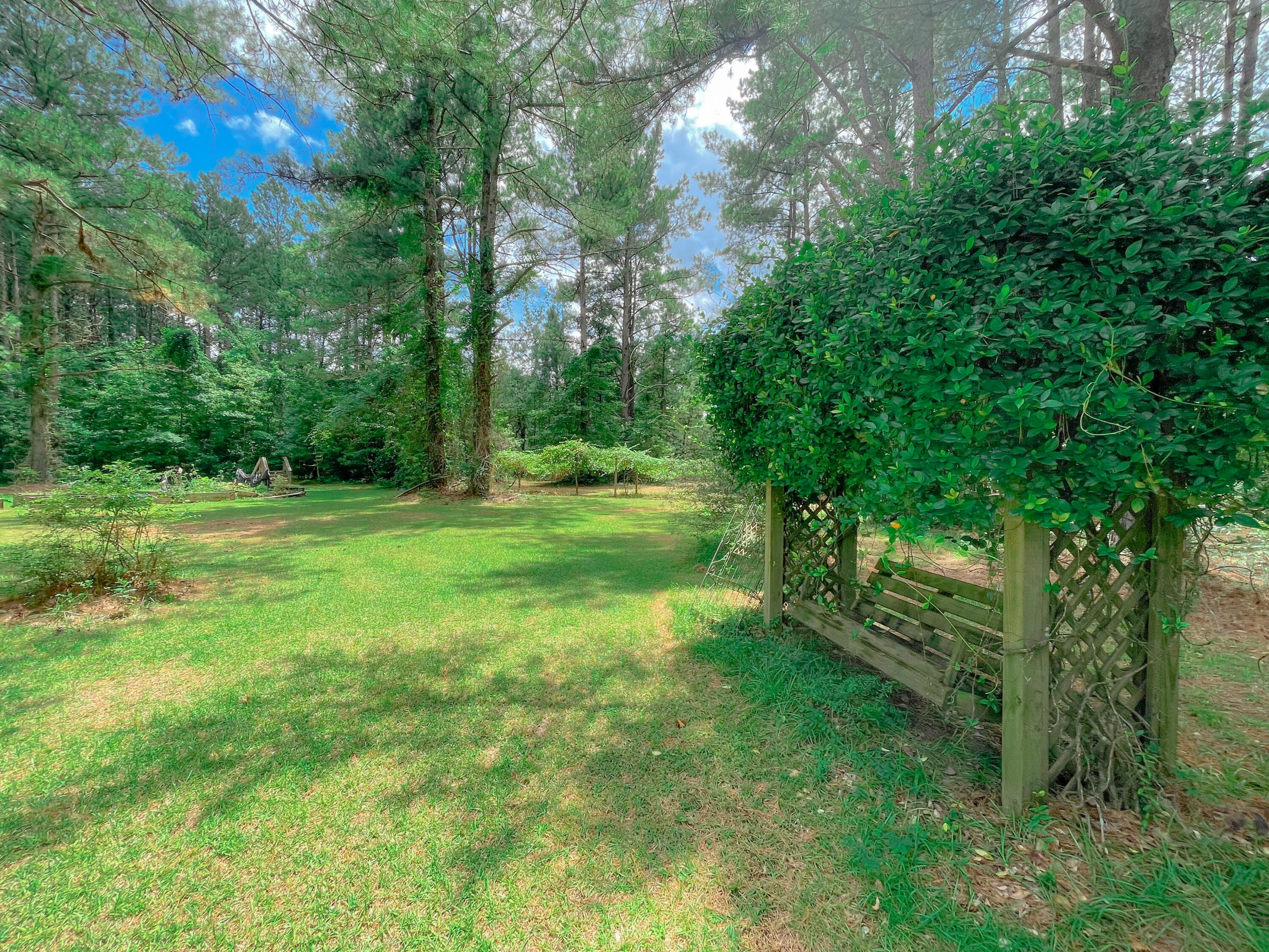 141 Cross Creek Road Reevesville, SC 29471 - Photo 10 of 40 E77777BC-FE51-4569-BE1B-83715BF85899