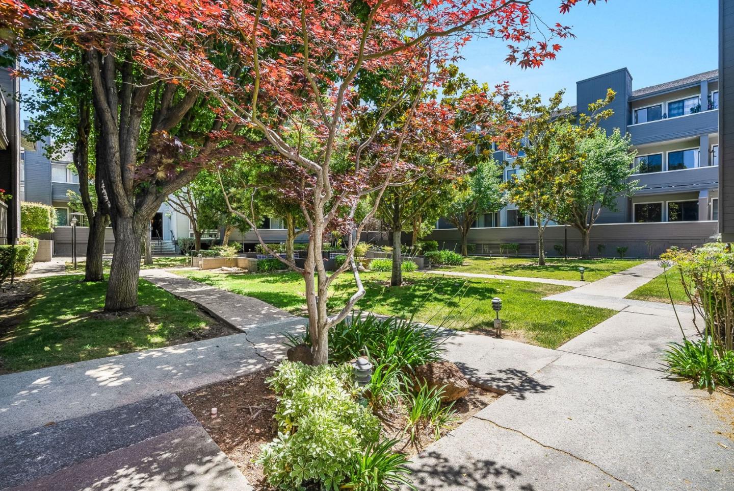22330 Homestead Road, Unit 117 Cupertino, CA 95014 - Photo 24 of 25 Gallery Image 24