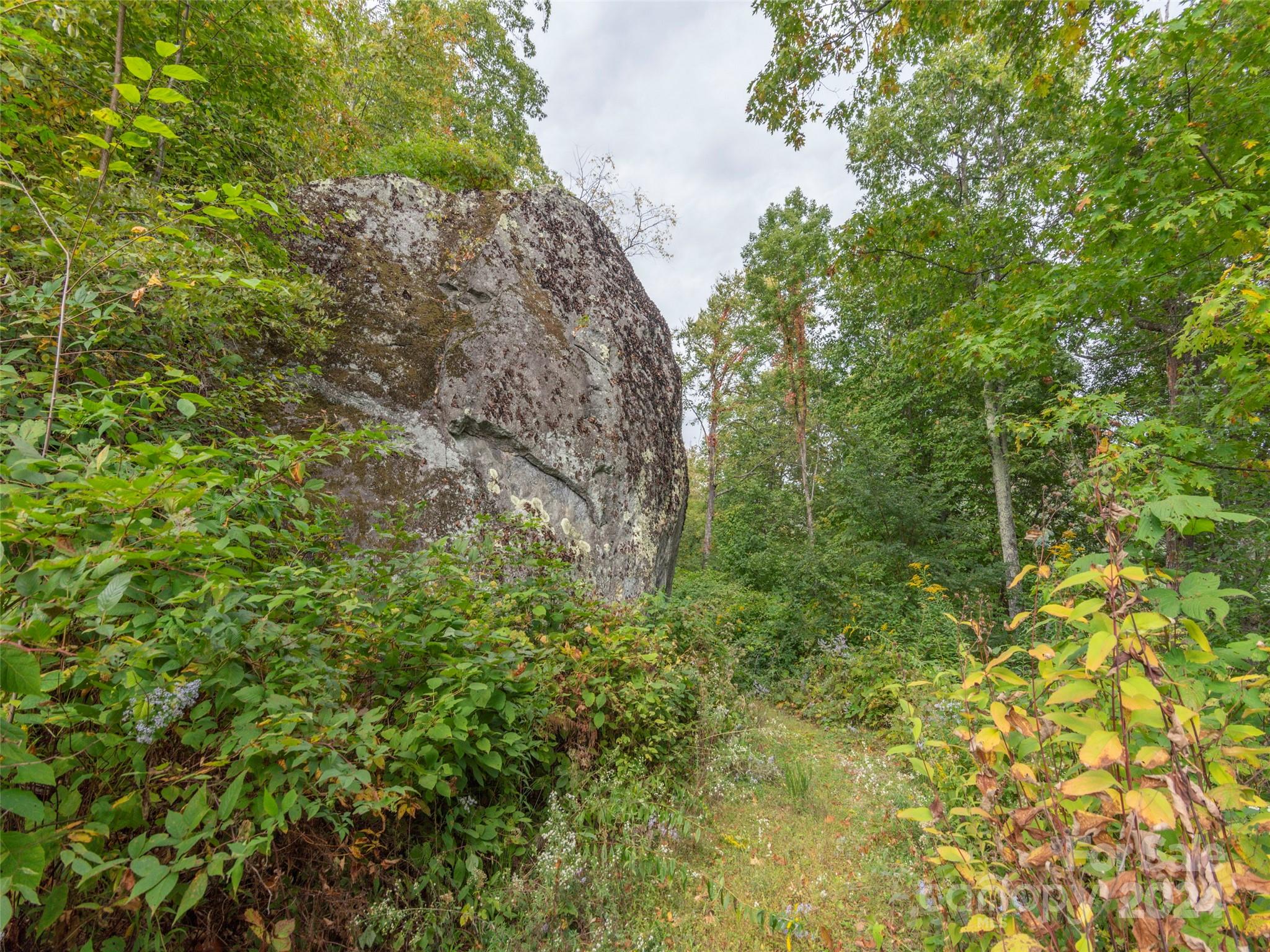 53 Putty Root Ridge Waynesville, NC 28785 - Photo 28 of 30 Gallery Image 28