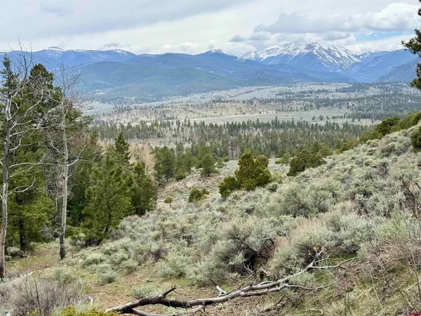 $3,750,000 | 495 US Highway 285, Salida, CO 81201