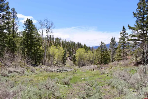 $3,750,000 | 495 US Highway 285, Salida, CO 81201