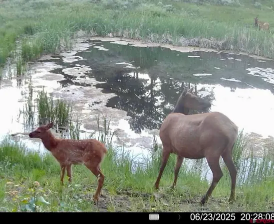 $3,750,000 | 495 US Highway 285, Salida, CO 81201