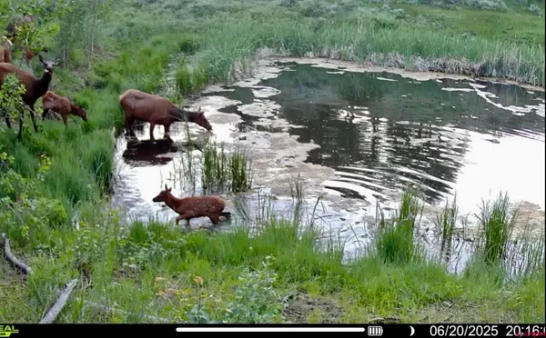 $3,750,000 | 495 US Highway 285, Salida, CO 81201