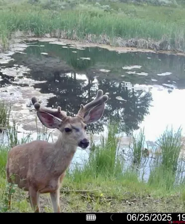 $3,750,000 | 495 US Highway 285, Salida, CO 81201