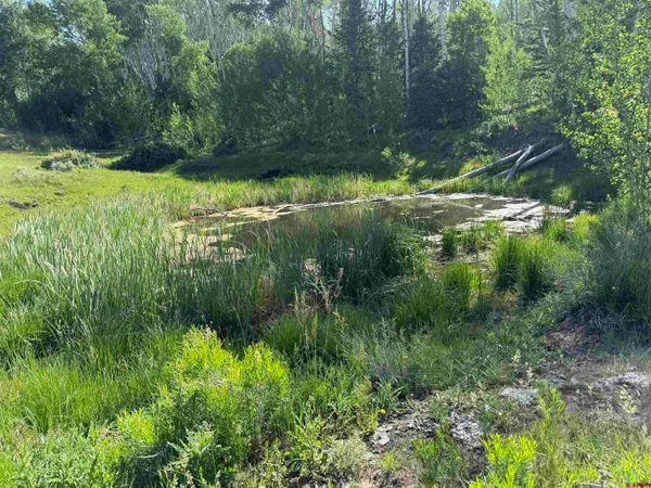 $3,750,000 | 495 US Highway 285, Salida, CO 81201
