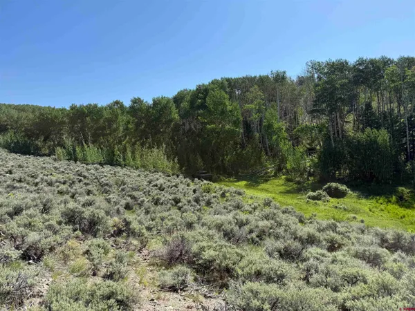 $3,750,000 | 495 US Highway 285, Salida, CO 81201