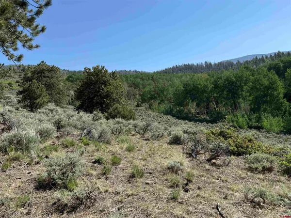 $3,750,000 | 495 US Highway 285, Salida, CO 81201