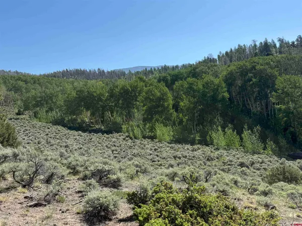 $3,750,000 | 495 US Highway 285, Salida, CO 81201