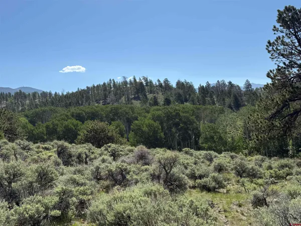 $3,750,000 | 495 US Highway 285, Salida, CO 81201