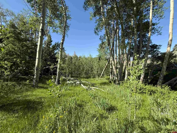 $3,750,000 | 495 US Highway 285, Salida, CO 81201