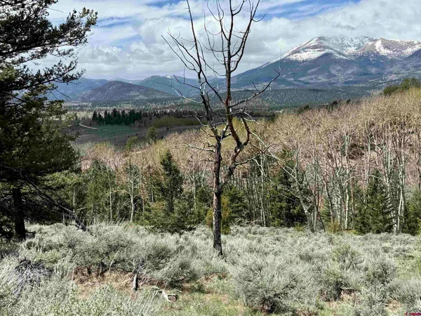 $3,750,000 | 495 US Highway 285, Salida, CO 81201