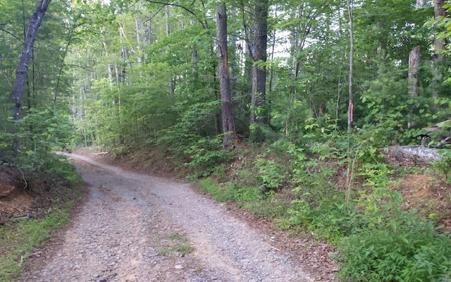 0 Cliff Raper Road Murphy, NC 28906 - Photo 4 of 4 Additional View