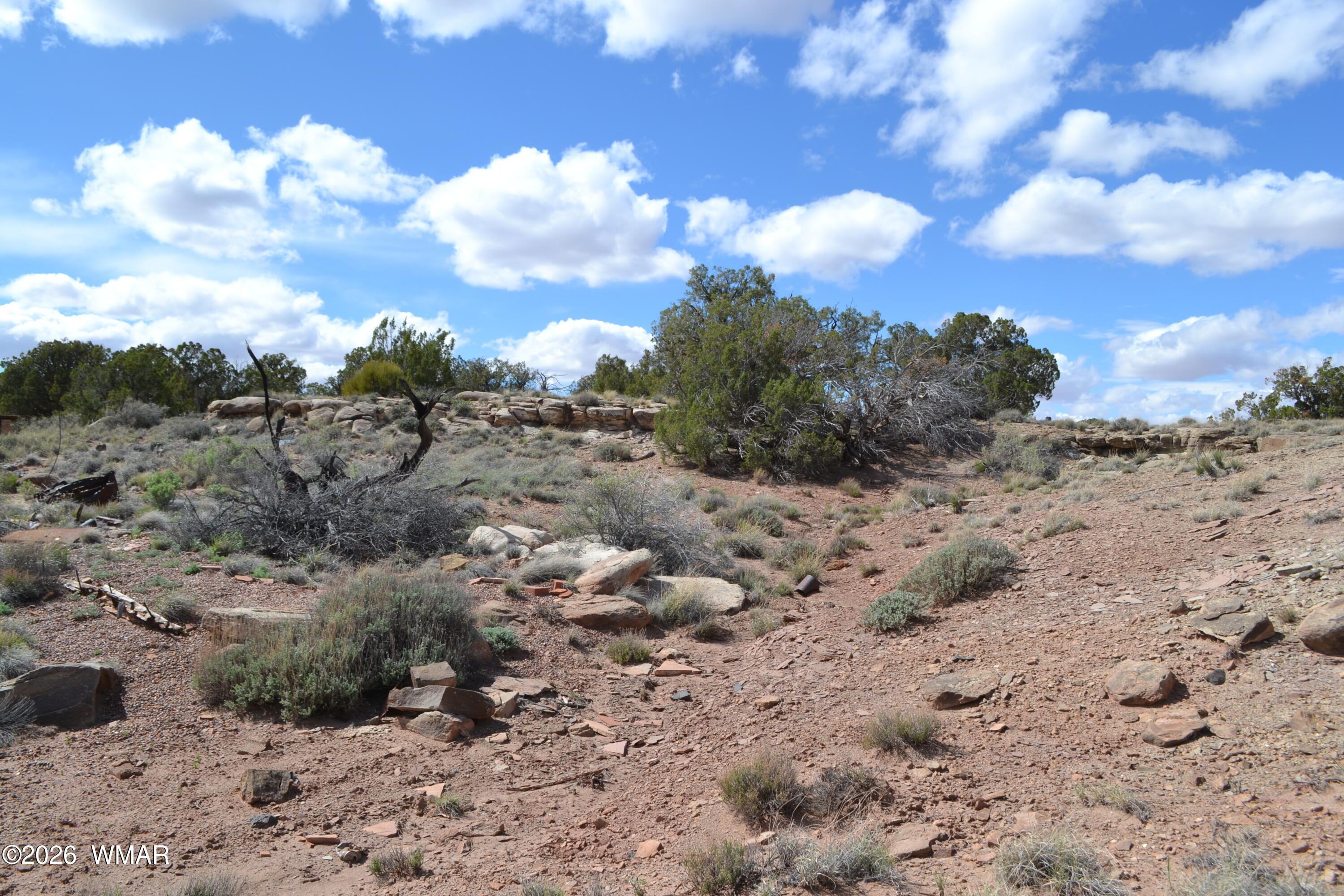 32 N8544 Concho, AZ 85924 - Photo 11 of 21 a view of a dry yard with lots of trees