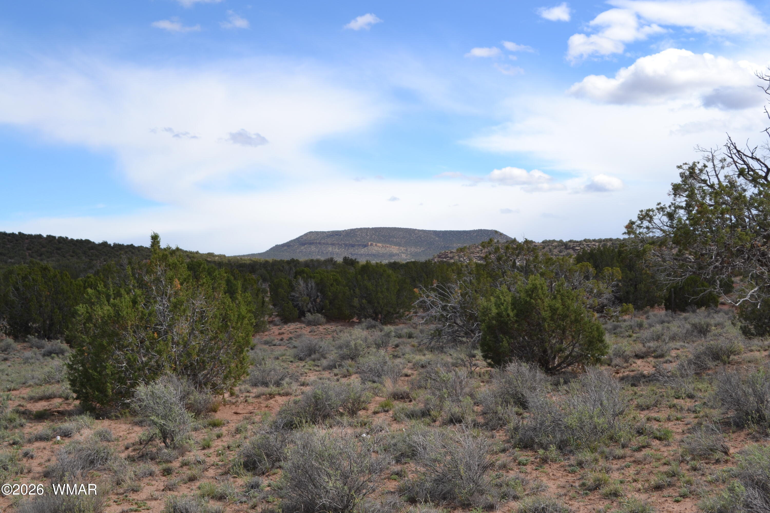 32 N8544 Concho, AZ 85924 - Photo 14 of 21 a view of a dry yard with mountains in the background