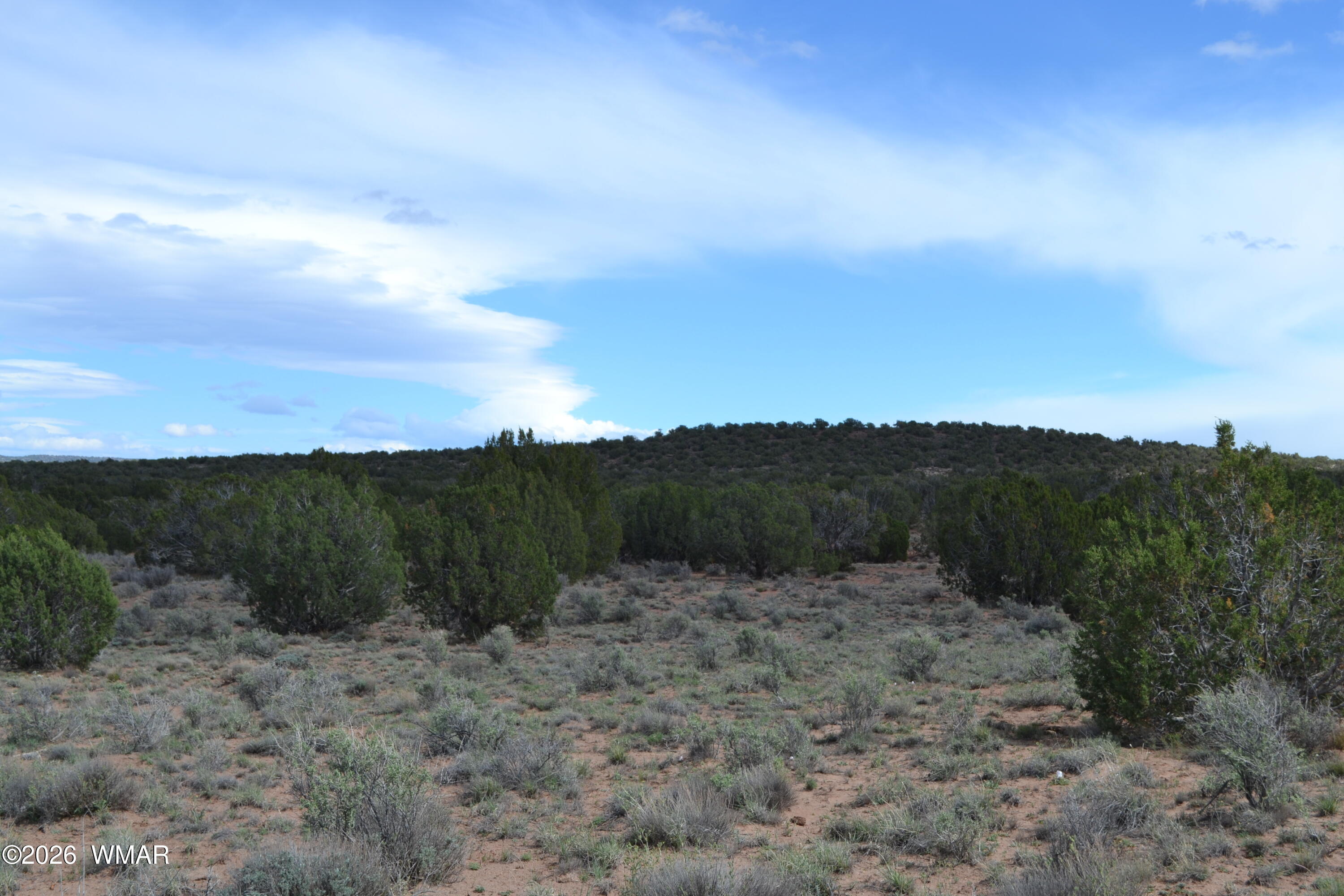 32 N8544 Concho, AZ 85924 - Photo 15 of 21 a view of a dry yard with mountains in the background