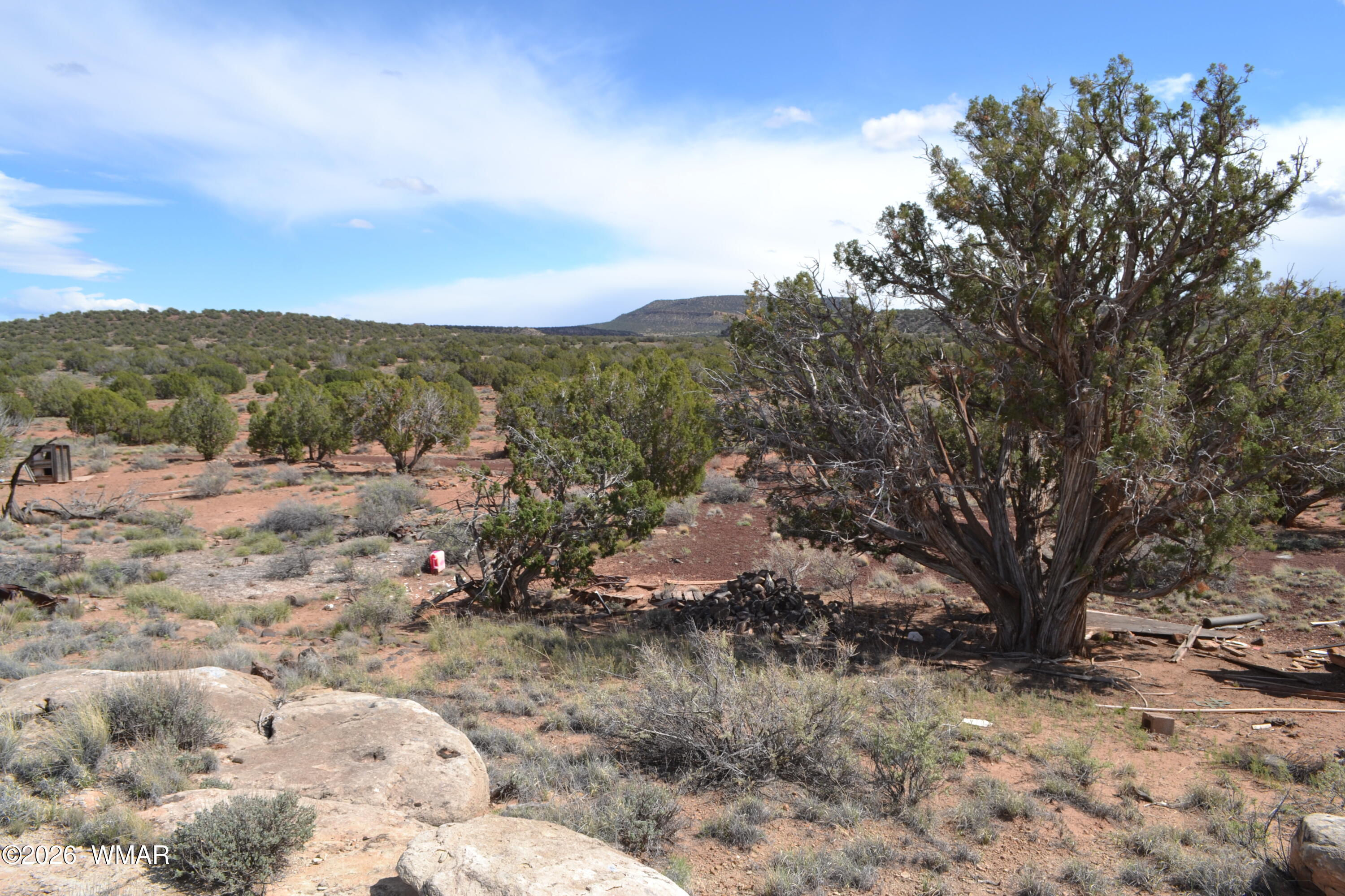 32 N8544 Concho, AZ 85924 - Photo 3 of 21 a view of a tree with a yard