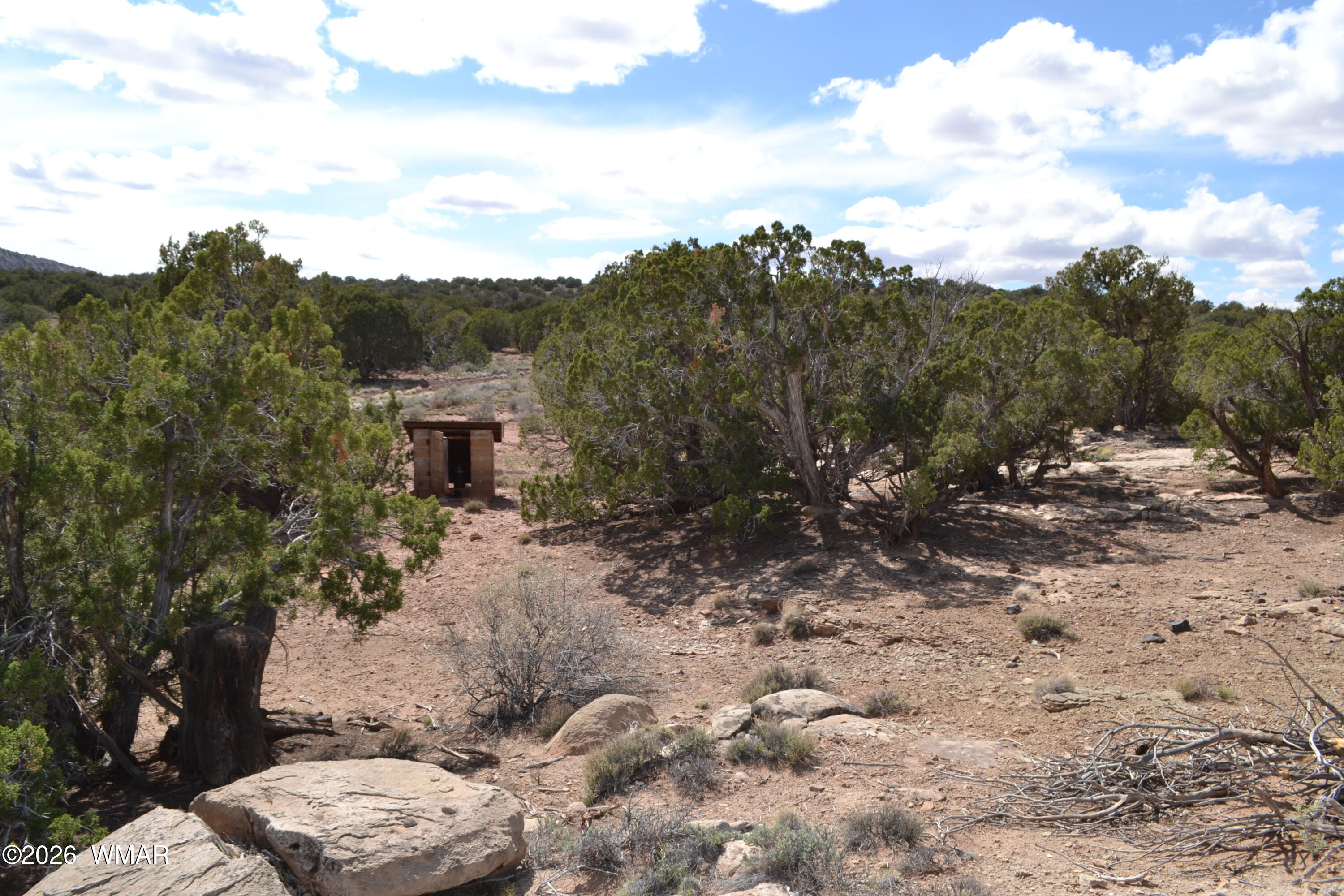 32 N8544 Concho, AZ 85924 - Photo 5 of 21 a view of a yard with a tree