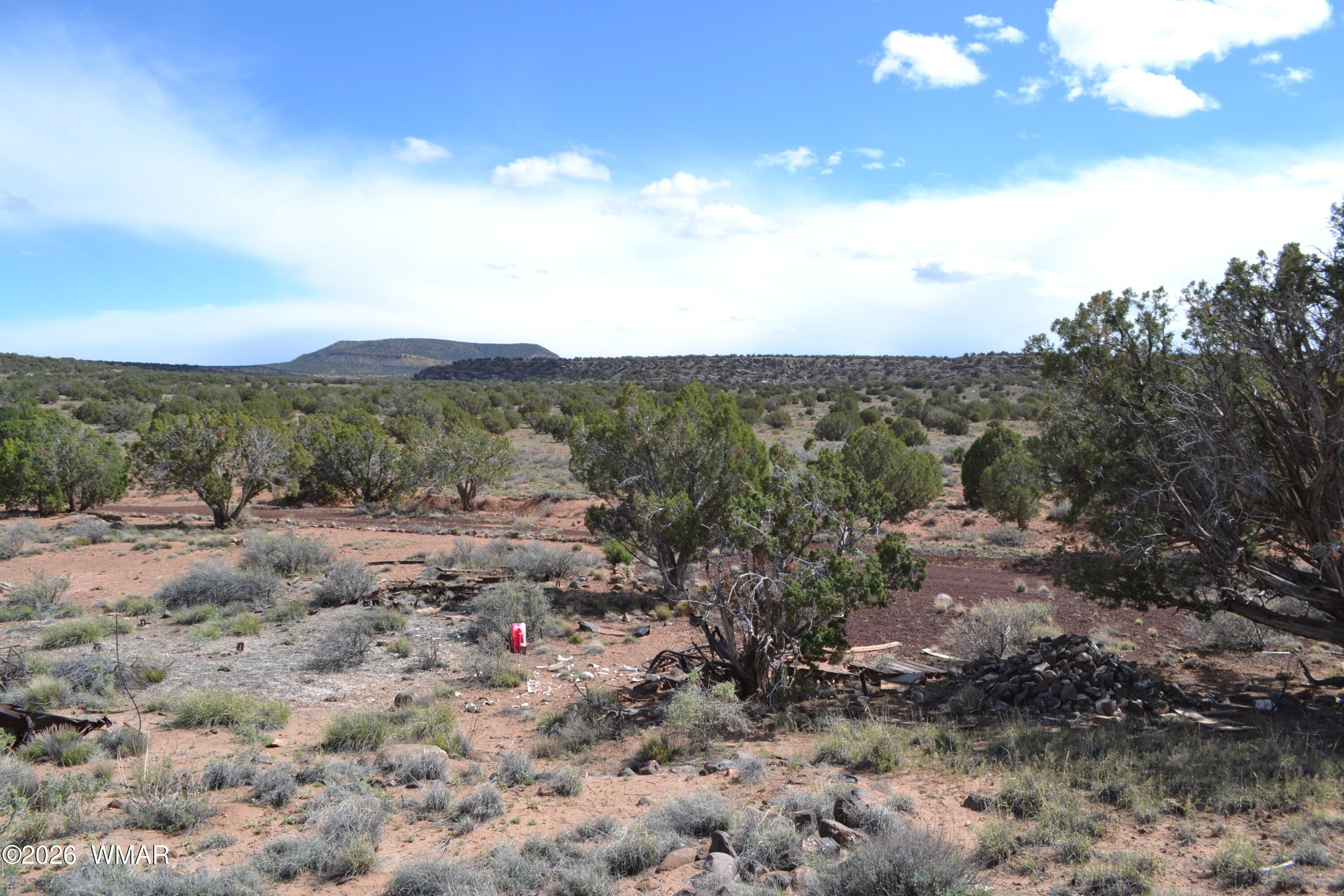 32 N8544 Concho, AZ 85924 - Photo 6 of 21 a view of a bunch of trees in middle of the green field