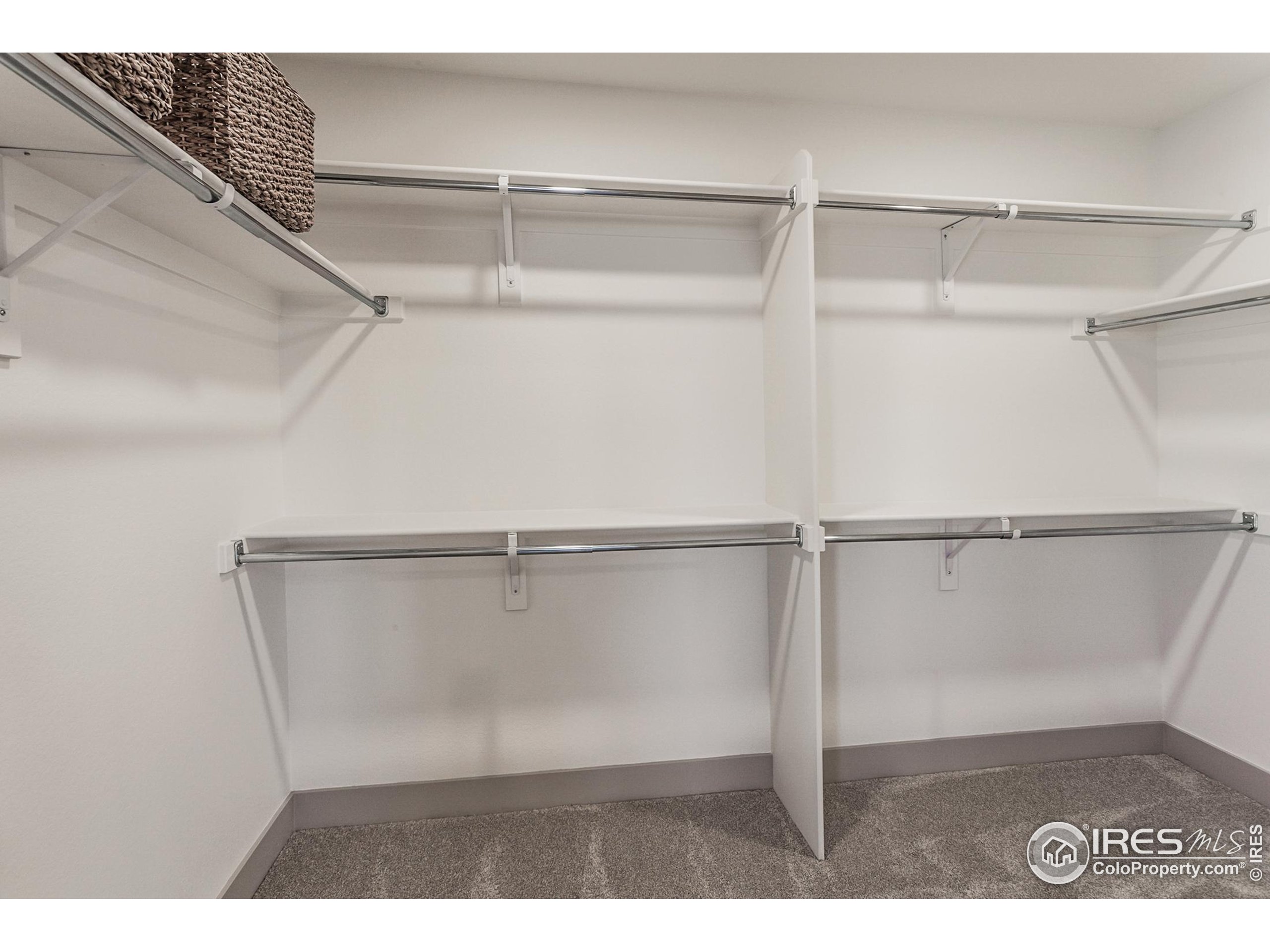 6079 Red Barn Road Fort Collins, CO 80528 - Photo 25 of 41 a view of an empty walk in closet