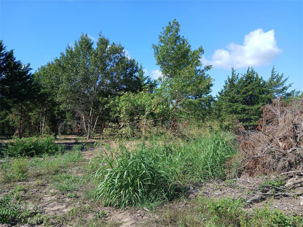 3360 Rd Hubbard Tx 76648 Road Hubbard, TX 76648 - Photo 5 of 13