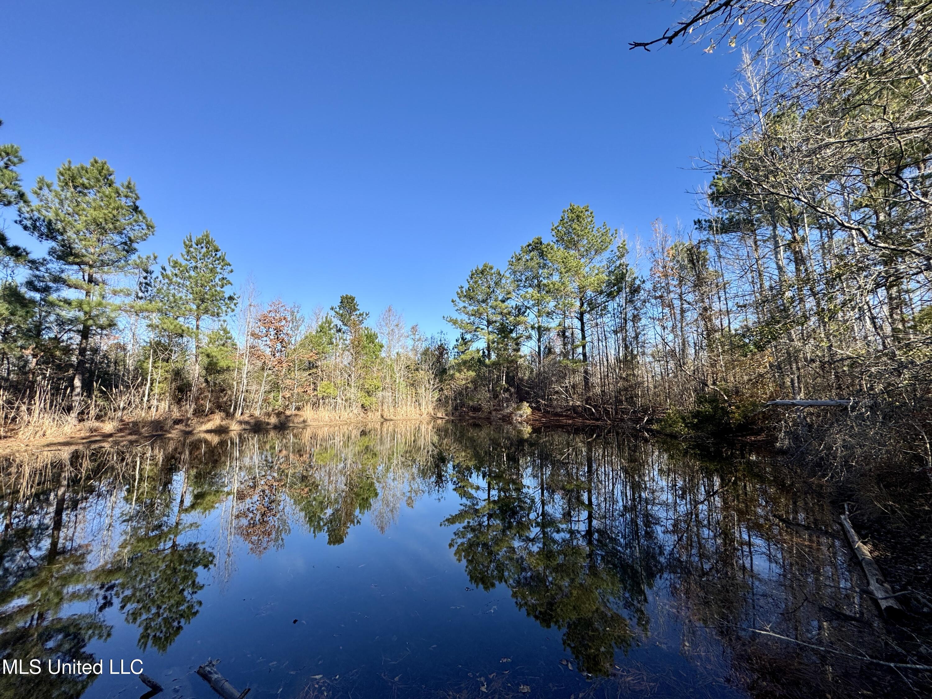 3005 Zetus Road Northwest Brookhaven, MS 39601 - Photo 13 of 21 C5A09EAE-7168-4F57-B1E2-F21251681DBF_1_2